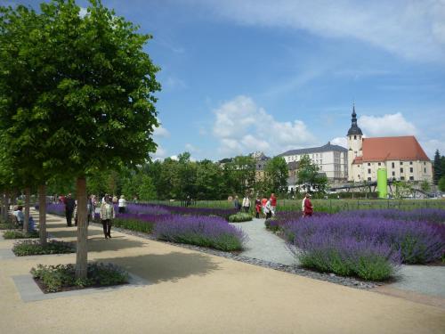 people walking through a garden with purple flowers at Villa & Hotel Am Park in Reichenbach im Vogtland