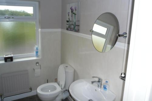 a bathroom with a toilet and a sink and a mirror at Princetown Cottage in Nant-y-bwch