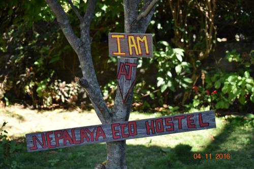 a sign in front of a tree at Nepalaya Eco Hostel in Pokhara