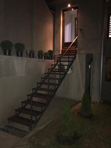 a staircase leading up to a building with potted plants at Apartment Nevena 3 in Belgrade