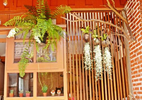 a bunch of plants hanging from a wooden fence at Pailin Guest House in Bangkok