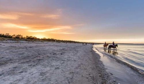 a group of people riding horses on the beach at Haus am Meer Ostsee Insel Rügen Fischerweg 3 Wlan in Glowe