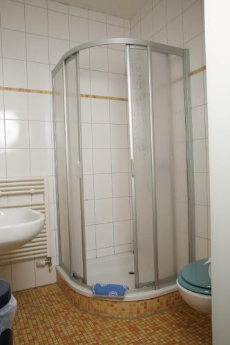 Hotel Kuhfelder Hof في Kuhfelde: دش في حمام مع حوض ومرحاض