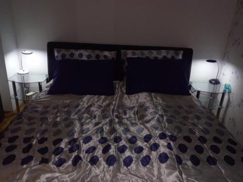 Postel nebo postele na pokoji v ubytování Apartment Aska