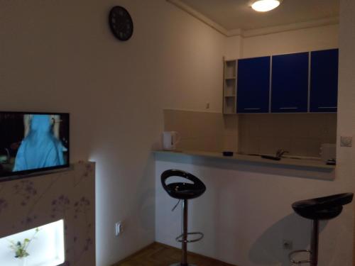 Kuchyň nebo kuchyňský kout v ubytování Apartment Aska