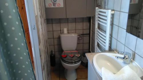 a small bathroom with a toilet and a sink at Le Reposion in Saint-Amé