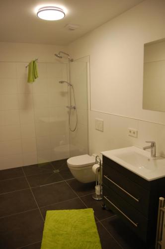 a bathroom with a toilet and a sink and a shower at Boardinghouse-Niedernberg in Niedernberg