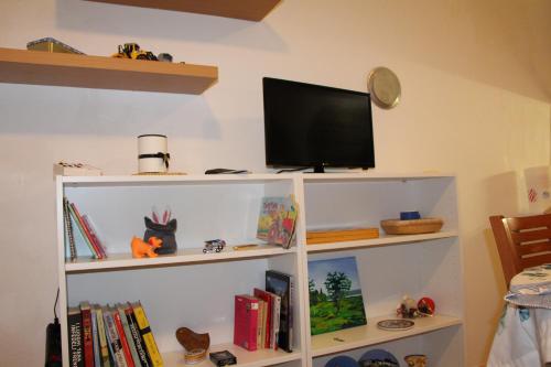 a tv sitting on top of a shelf with books at Apartment Alex in Piran