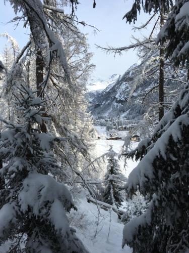 a view of a river in a snowy forest at Hotel Gran Baita in Gressoney-Saint-Jean