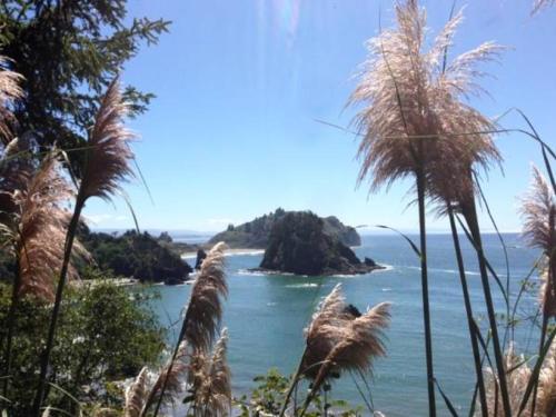 a view of a body of water with tall grass at Lookout At Trinidad Bay in Trinidad