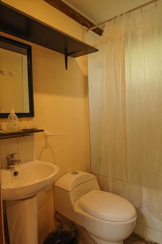 a bathroom with a white toilet and a sink at Cabañas Nogalia in San Alfonso
