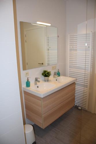 a bathroom with a sink and a mirror at Hotel Apartments Belgium 3 - HAB 3 in Geel