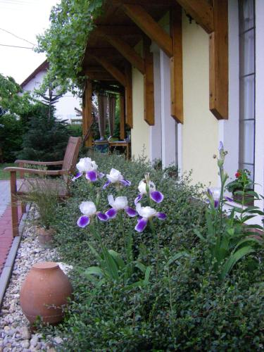 a garden with purple and white flowers in front of a house at Kőszeghegyalja Vendégház in Horvátzsidány