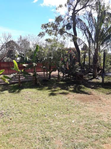 a park with benches and trees in the grass at La casa del Kori in Hanga Roa