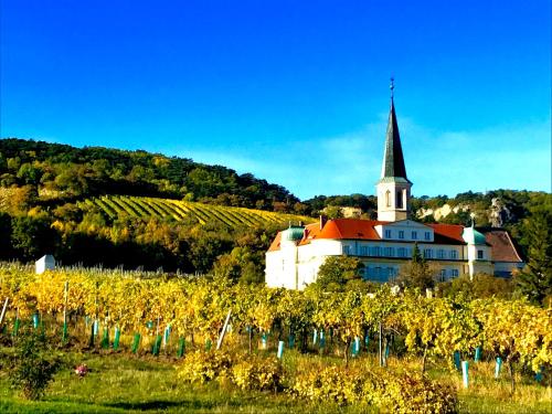a church with a steeple and a field of grapes at Hotel Landhaus Moserhof in Gumpoldskirchen