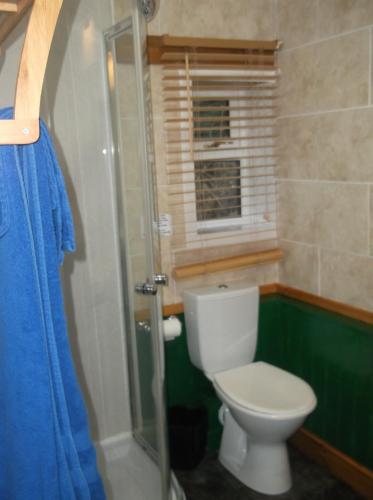 a bathroom with a toilet and a glass shower at The Steading Highland Glen Lodge in Drumnadrochit