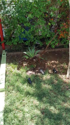 Un jardín fuera de Alice's Secret Travellers Inn