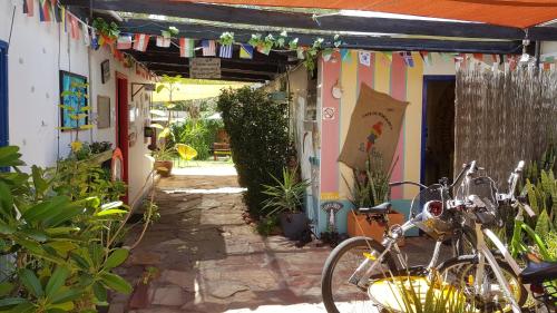 Un jardín fuera de Alice's Secret Travellers Inn