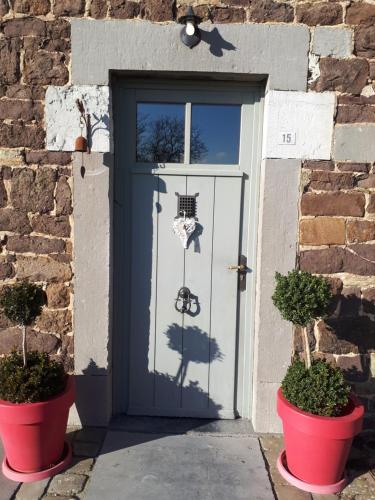 a door with two potted plants in front of it at Escale de Brionsart in Gesves