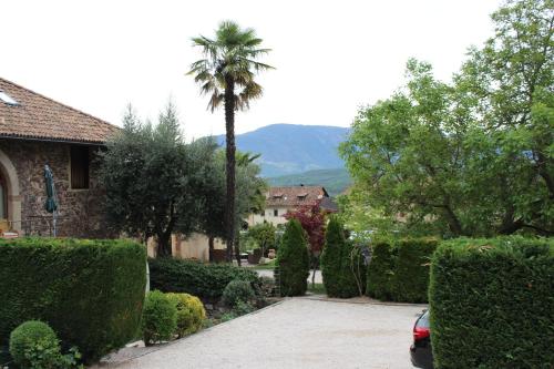a palm tree in front of a house with a driveway at Ansitz Strengherrnhof in Caldaro