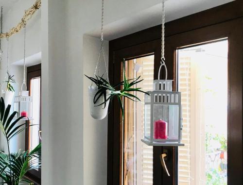 a room with a potted plant and a glass light fixture at Shelisa B&B in Rome