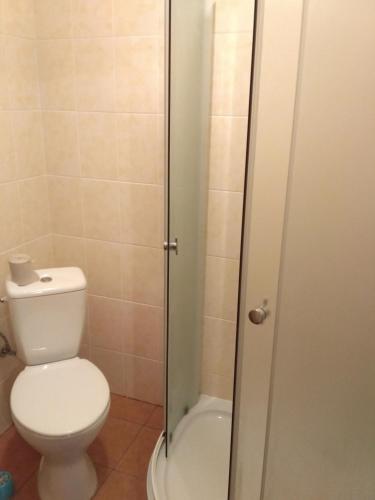 a bathroom with a toilet and a glass shower stall at Guest House Mandrivnyi Rooms&Apartments in Yasinya