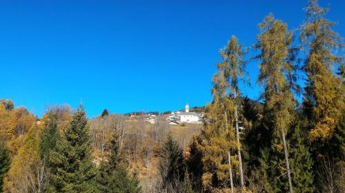 a house on top of a hill with trees at Il Cardo Trentino in Bedollo