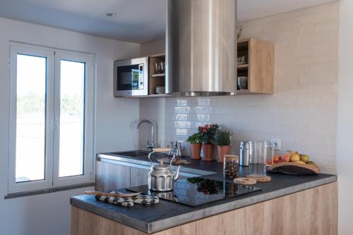 a kitchen with a sink and a counter top with fruits at Craveiral Farmhouse by Belong Staying & Feeling in São Teotónio