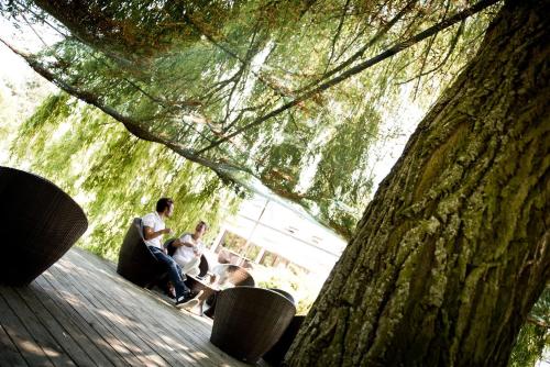 three people sitting on a bench next to a tree at Domaine De Barive in Sainte-Preuve