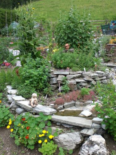 a dog sitting on a stone path in a garden at Pichlgut in Radstadt
