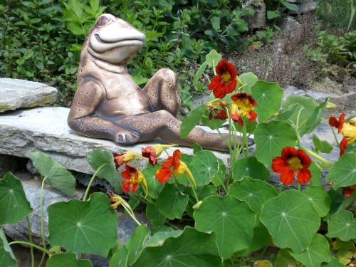 a statue of a frog sitting on a rock next to flowers at Pichlgut in Radstadt