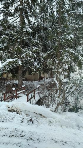 Το Giusvalla Forest Village τον χειμώνα