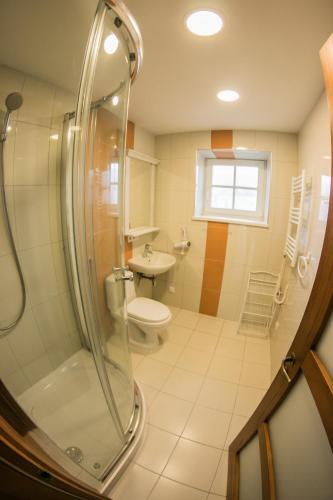 a bathroom with a shower and a toilet and a sink at Vila Gija in Nida