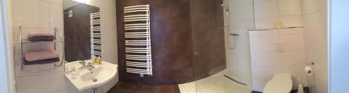 シュラートミンクにあるAppartement Kristinaのバスルーム(洗面台、トイレ、シャワー付)