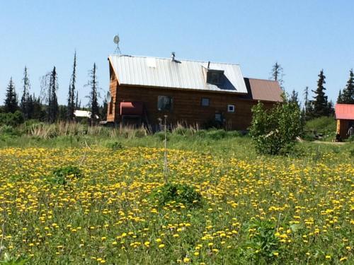 The Husky Ranch – Photos 4