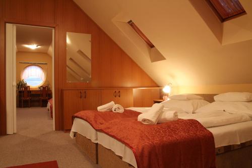 莫勞豪洛姆的住宿－派茲奧溫泉酒店，相簿中的一張相片