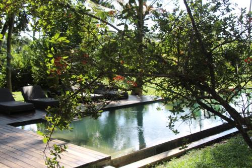 a swimming pool in the middle of a yard at KAJU GREEN eco lodges in Unawatuna