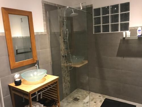 a bathroom with a glass shower with a sink at Ti kaz Grondin in Saint-Joseph