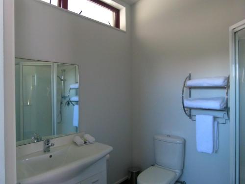 a bathroom with a toilet, sink and mirror at Beachview Motel Beachview Motel in Greymouth