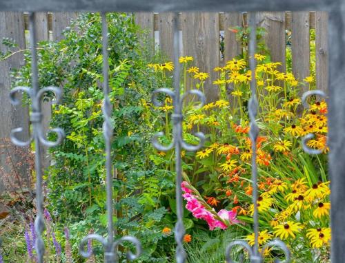 a garden of flowers behind a fence at Promschhof in Semriach