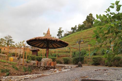 a large umbrella sitting on the side of a road at Shangrila Leisure Farm in Dongshan