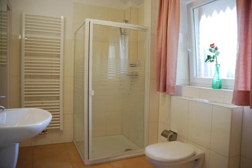a bathroom with a shower and a toilet and a sink at Ferienwohnung Grünes Herz in Kiel