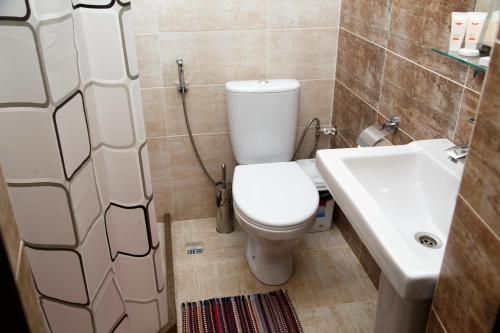 a bathroom with a toilet and a sink at Lumarc Hotel in Bishkek