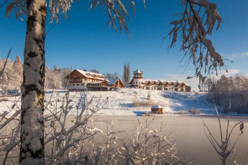 a house in the snow next to a lake at Rezidence u Jezera in Jeseník