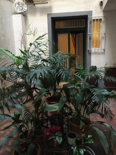 MGPgroup Rome Center Hot Spot