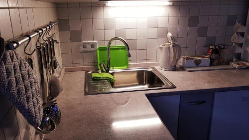 a kitchen sink with a green sponge next to it at Apartment Dominik in Osijek