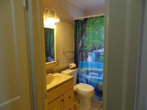 a bathroom with a toilet and a sink and a shower at Covered By Faith Rentals -Storybook Home in Rochester