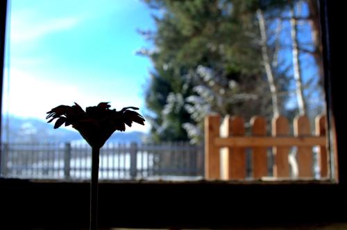 a flower in a vase in front of a fence at Haus Susanne in Radstadt