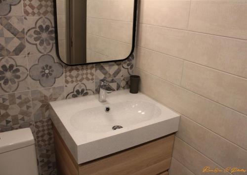 a bathroom with a sink and a mirror at Le flamant - Appartement P2 de 40m2 grande terrasse-parking-wifi in La Grande Motte