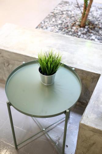 a glass table with a plant on top of it at Stay SongSong Beach Street in George Town